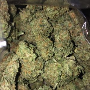 Meet your Posher, Chester